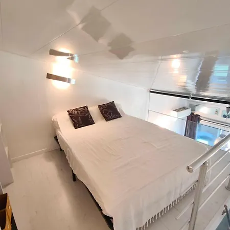 Bright With Terrace Near The Calcatoggio (Corsica)