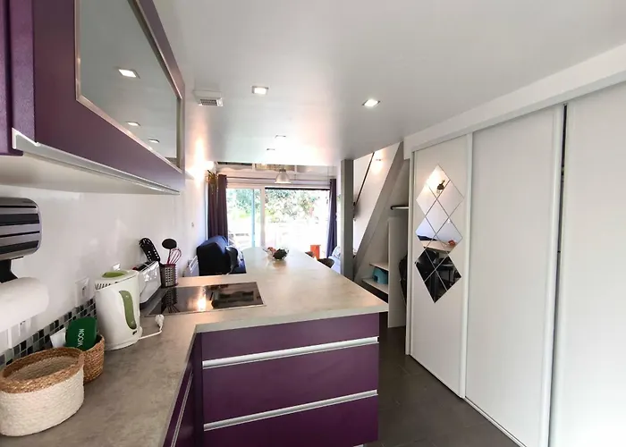 Bright With Terrace Near The Calcatoggio (Corsica)