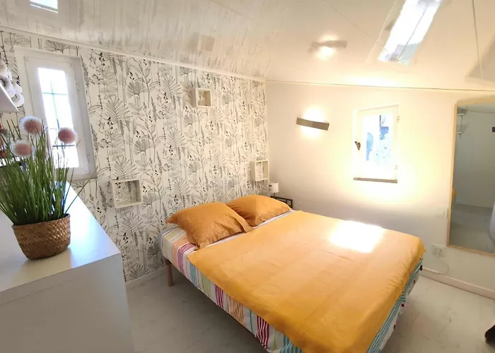 Bright With Terrace Near The Calcatoggio (Corsica)