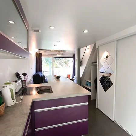 Bright With Terrace Near The Calcatoggio (Corsica)