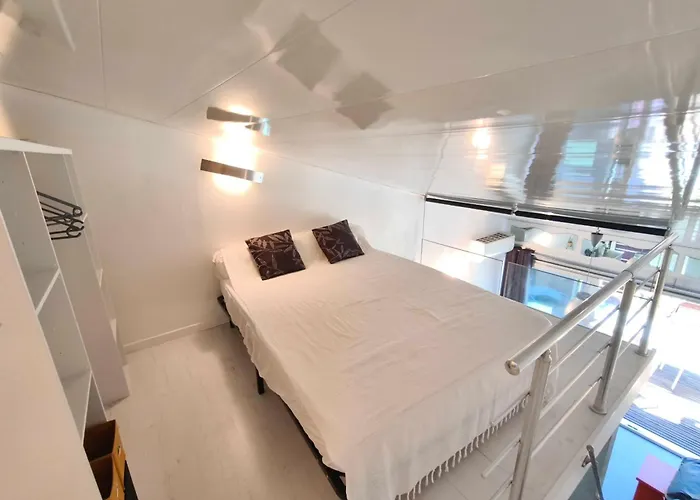 Bright With Terrace Near The Calcatoggio (Corsica)